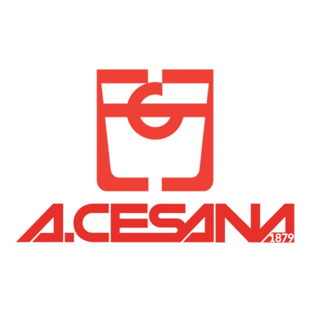 A. CESANA S.r.l logo