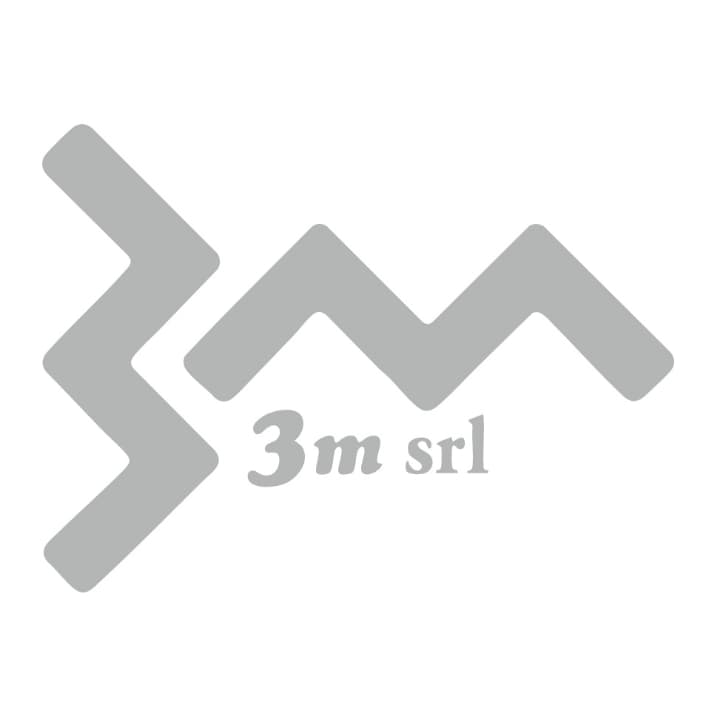 3M srl logo