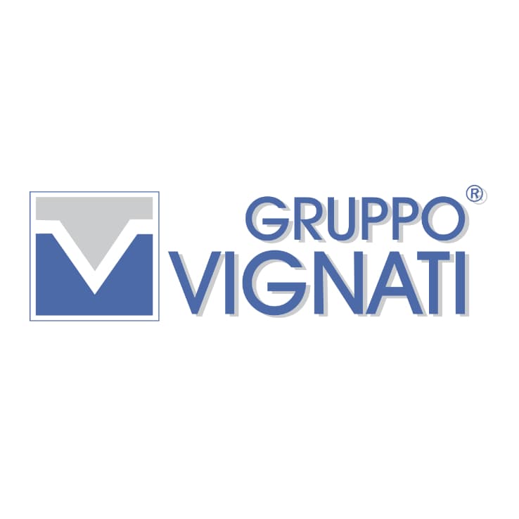 VIGNATI PIETRO E LUIGI SRL logo