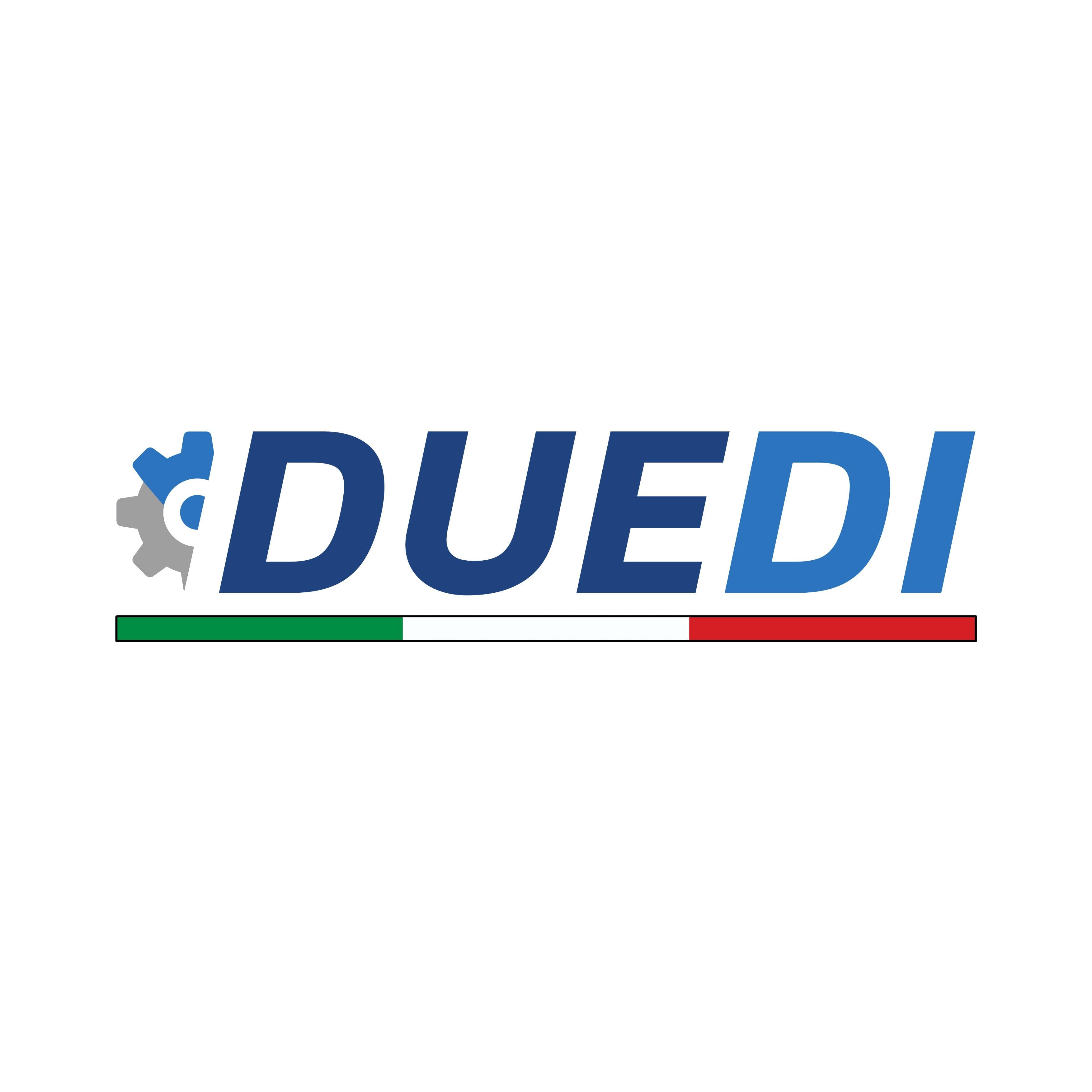 DUEDI SRL logo