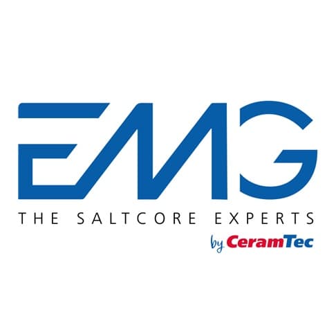 EMG - The Saltcore Experts logo