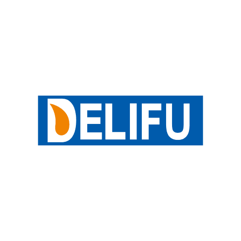 ZHEJIANG DELIFU TECHNOLOGY logo