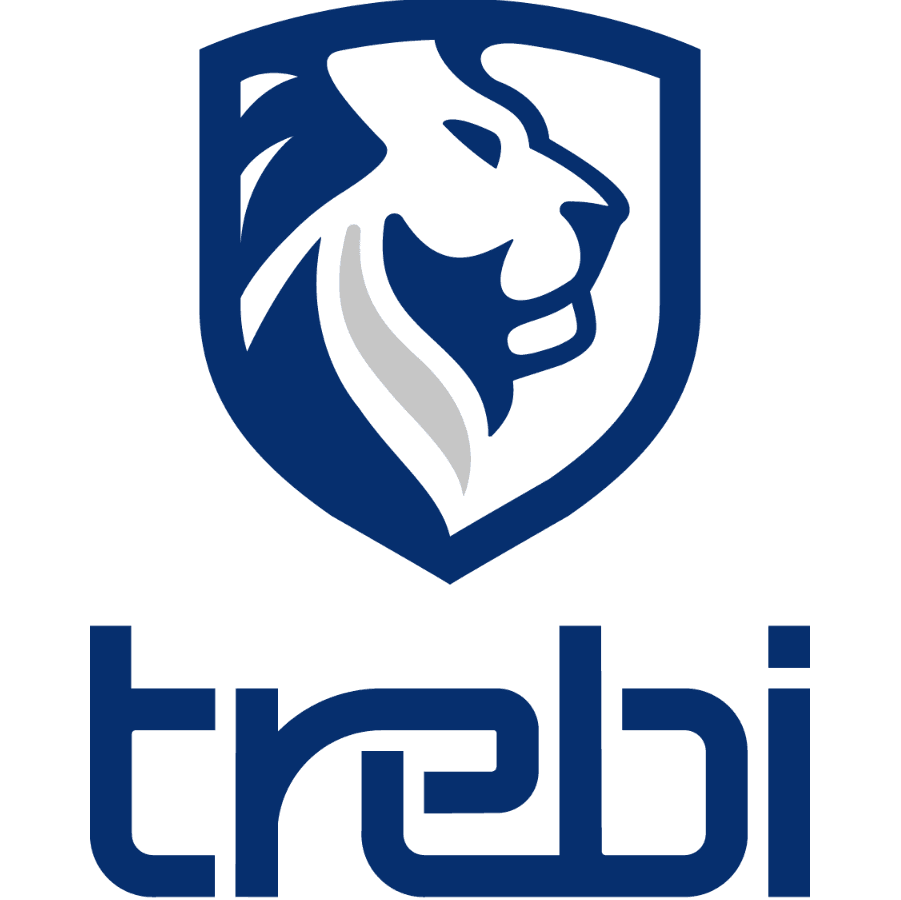 TREBI SRL UNIPERSONALE logo