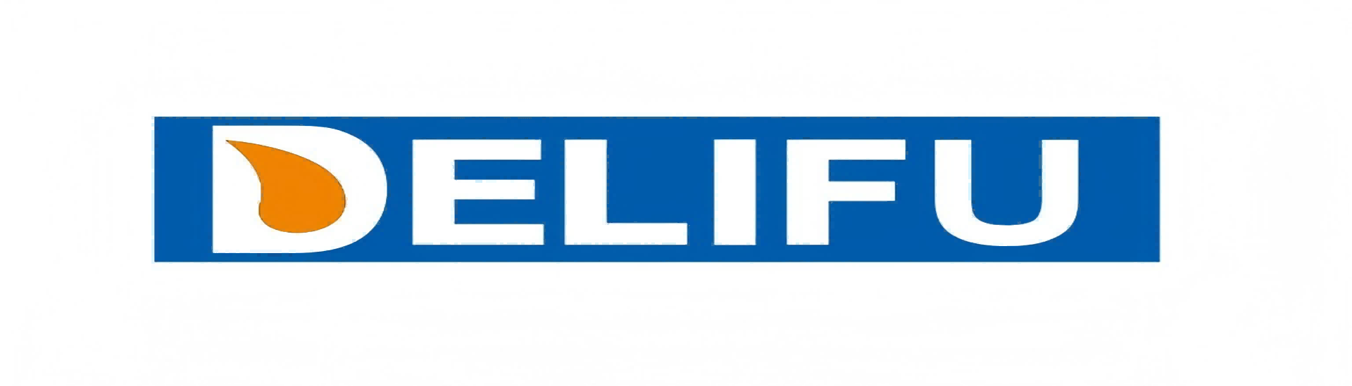 ZHEJIANG DELIFU TECHNOLOGY