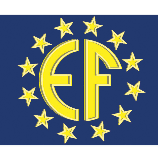 EUROFUSIONI NIRONI srl logo
